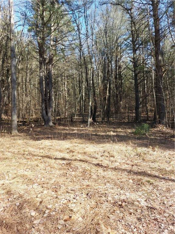 V/L Corbett Hollow Road - Photo 1