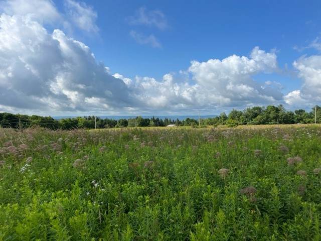L17 Linday Road - Photo 1