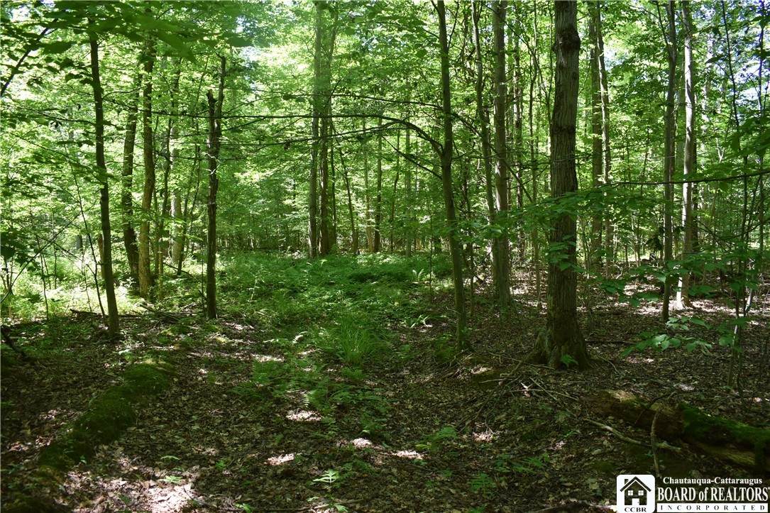 https://bt-photos.global.ssl.fastly.net/rochester/orig_boomver_1_R1558630-2.jpg