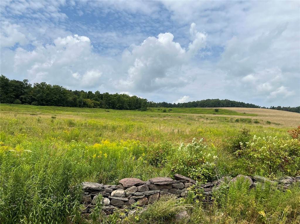 0 Route 28 - Photo 1