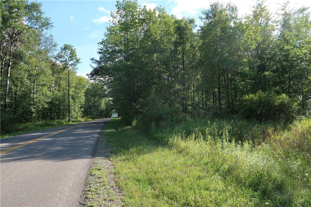 Lot 7 German Road - Photo 1
