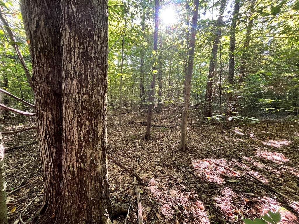 Lot 1 Lockwood Run Road - Photo 1