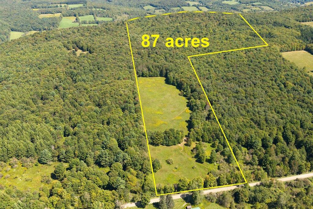 Lot 1 Warren Road - Photo 1