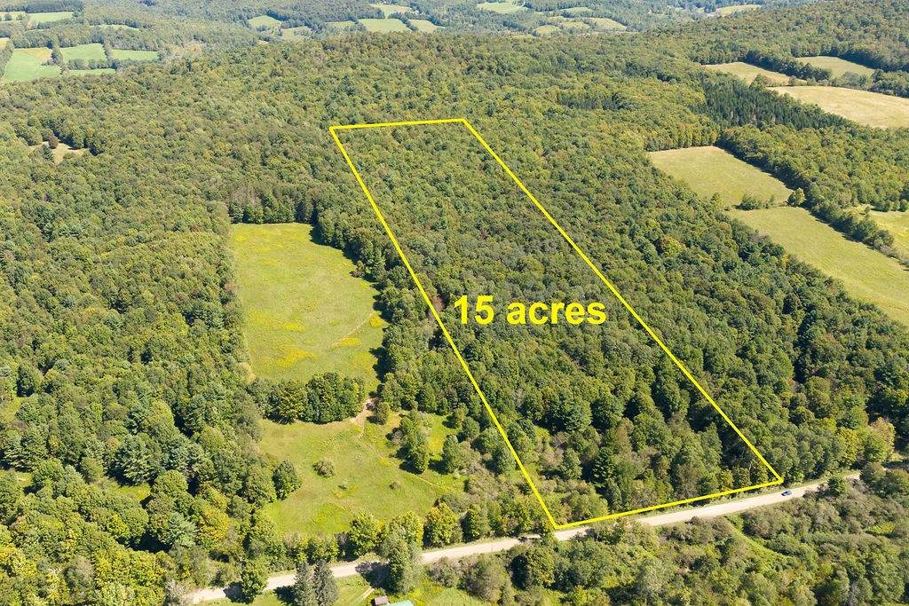 Lot 2 Warren Road - Photo 1