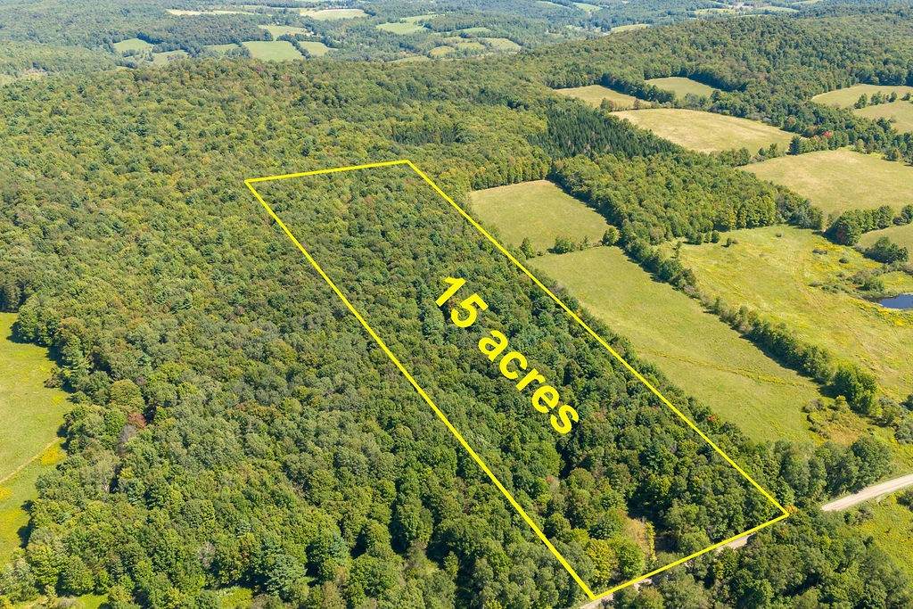 Lot 3 Warren Road - Photo 1