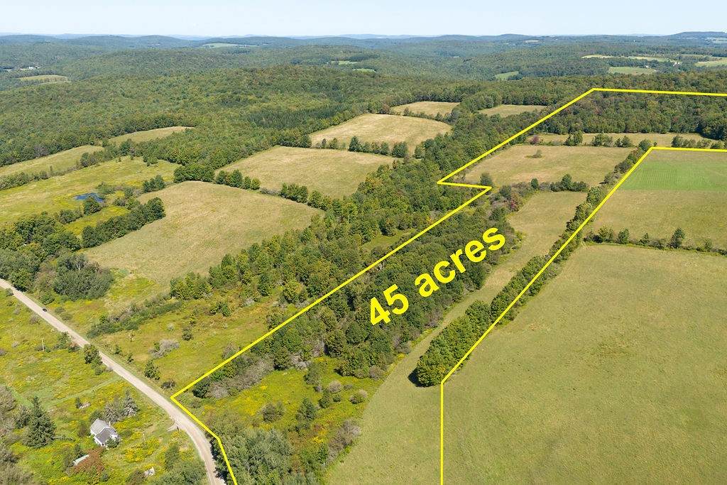 Lot 8 Warren Road - Photo 1