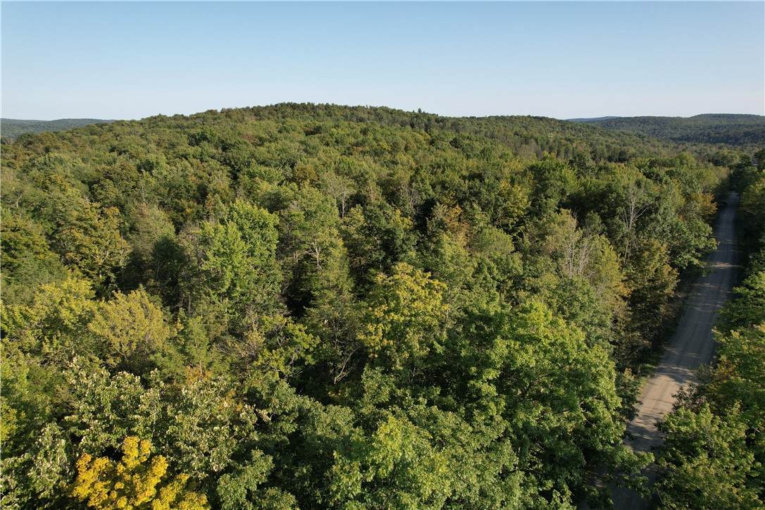 Lot 6 Lockwood Run Road - Photo 1