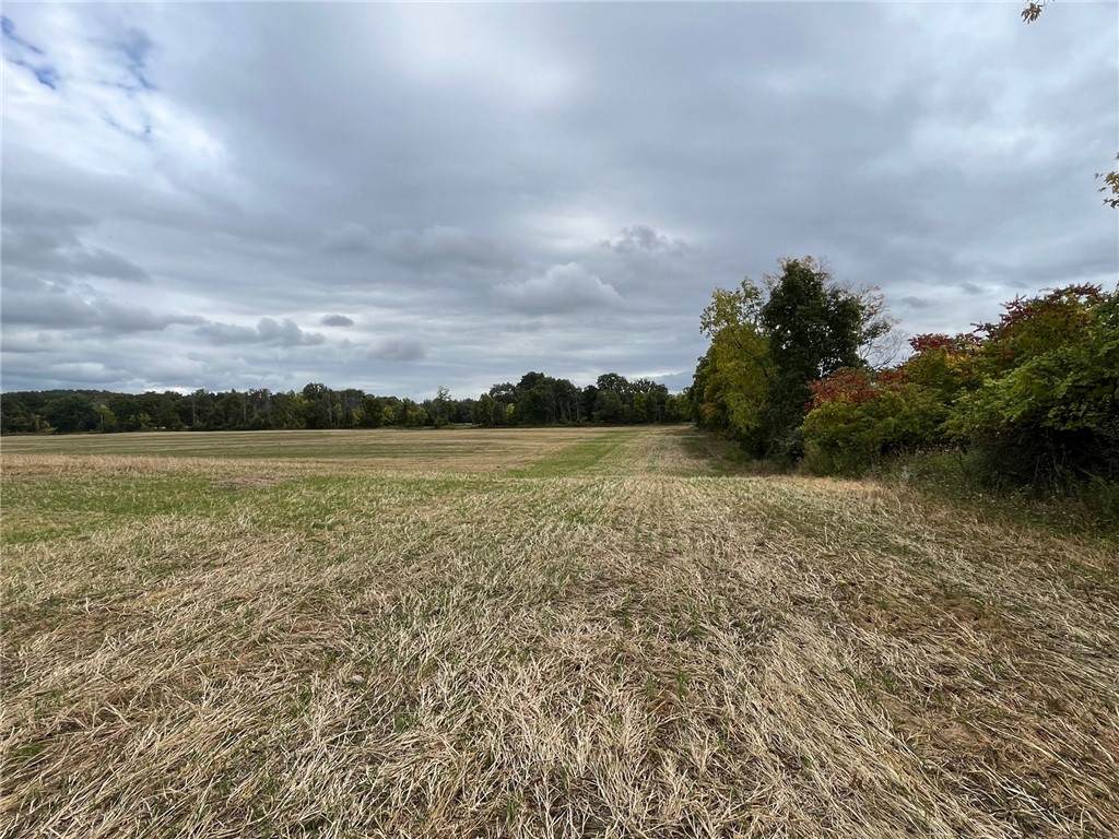Lot 3 Woodruff Road - Photo 1