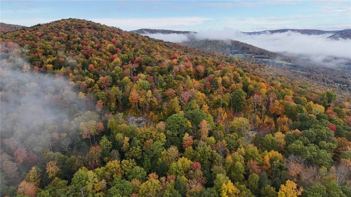 Lot 28.1 Shaver Hollow Road - Photo 1