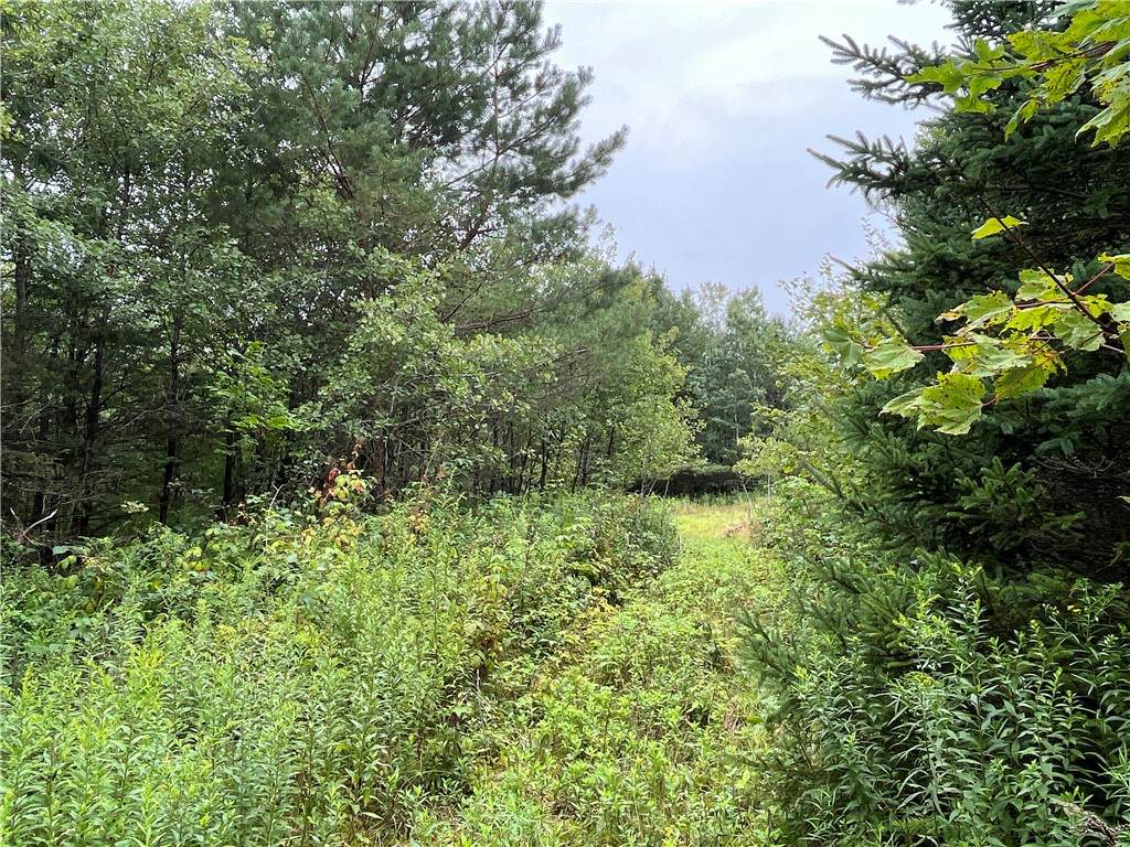00 Level Green Road - Photo 1