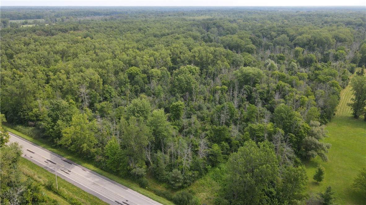 2853 Hartland Road - Photo 1