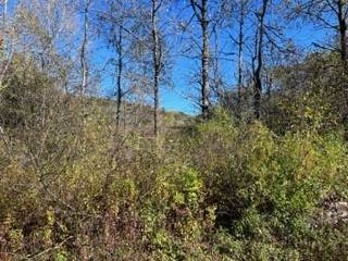 0 County Highway 4 - Photo 1