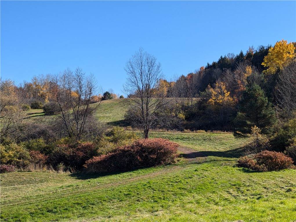 0 Dunshee Hill Road - Photo 1