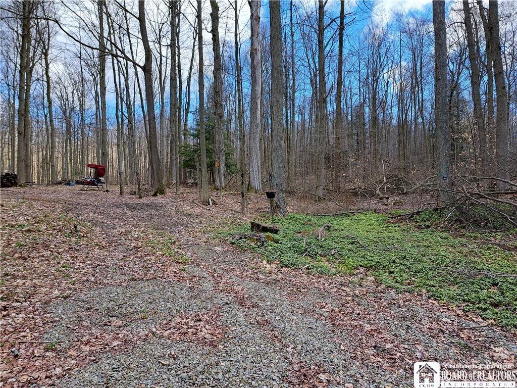 10138 Lake View Avenue - Photo 1