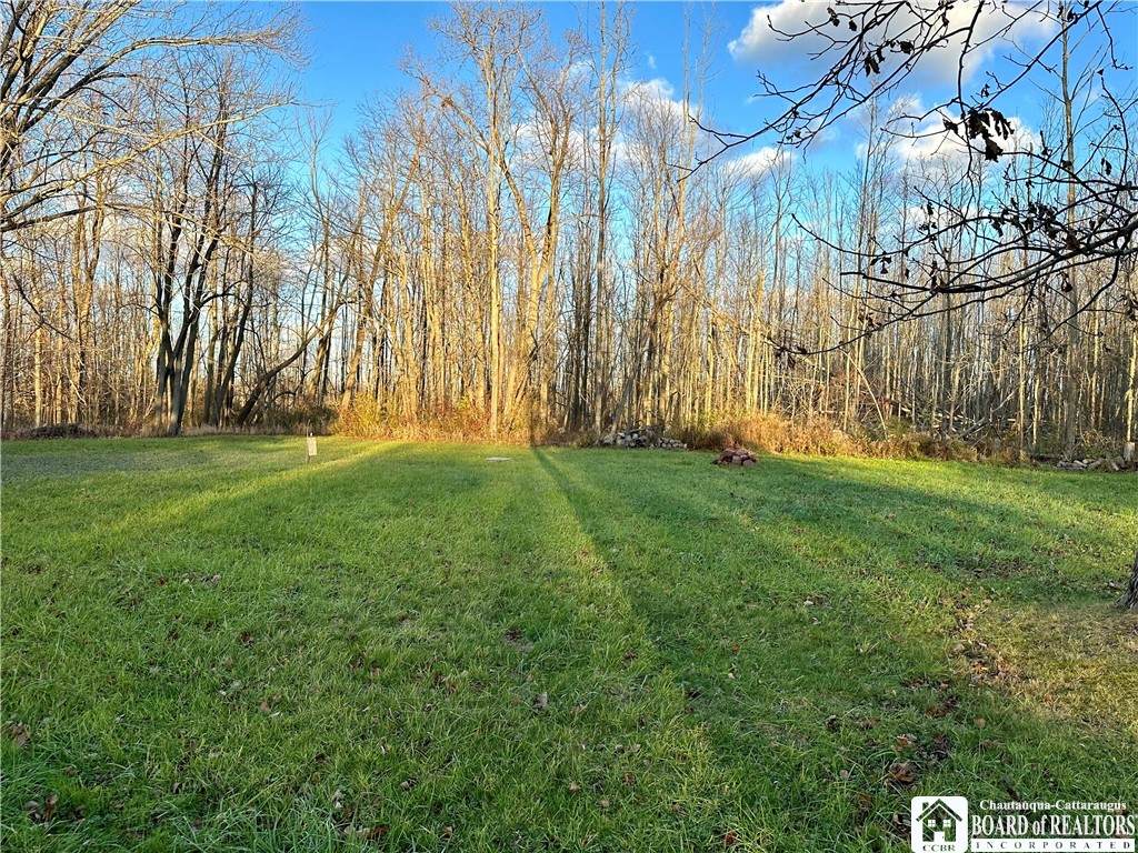 9849 Utica Street - Photo 1