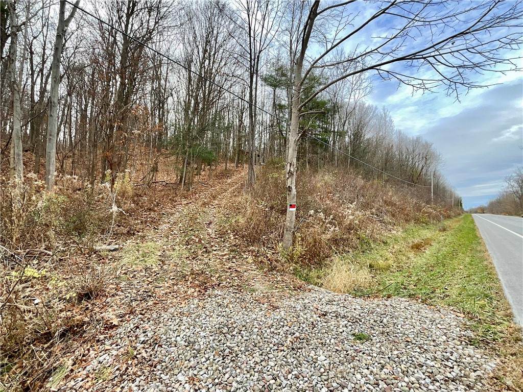  Dansville Mount Morris Road - Photo 1