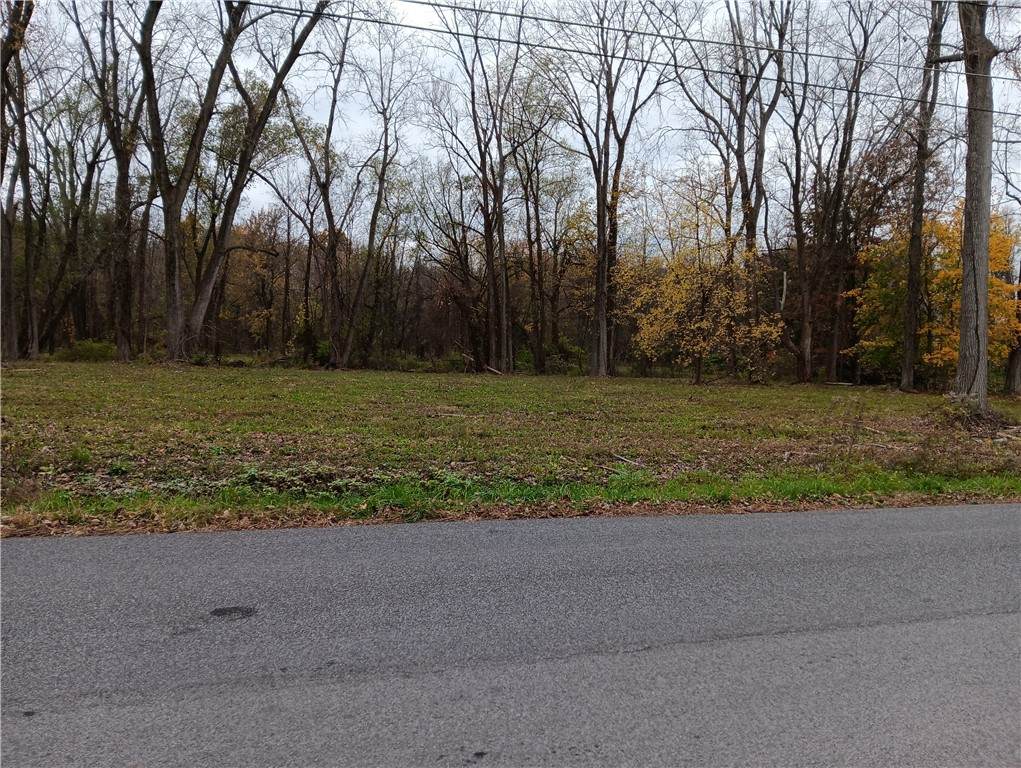 00 VL Kelly Road - Photo 1