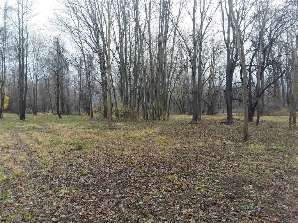 6386 Harvest Drive - Photo 1