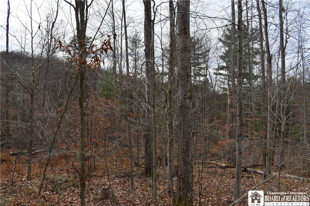 0 Morgan Hollow Rd. - Photo 1