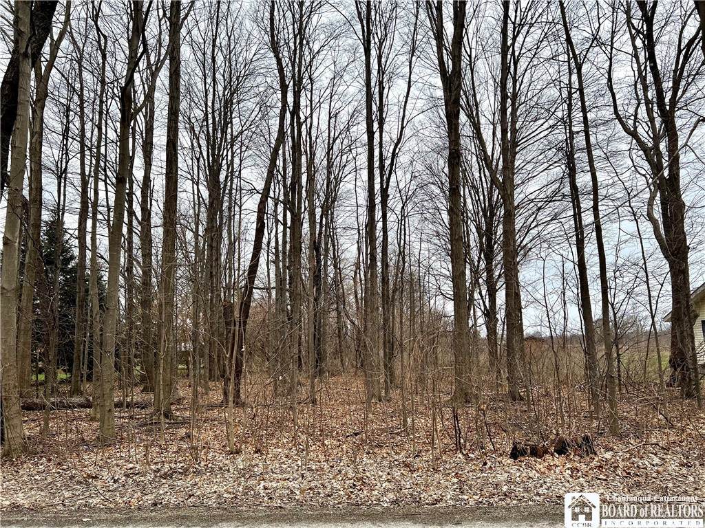 00 Chestnut Road - Photo 1