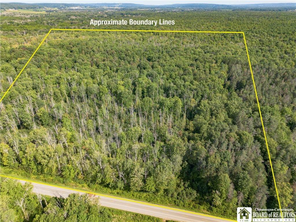 12924 Cherry Creek Hill Road - Photo 1