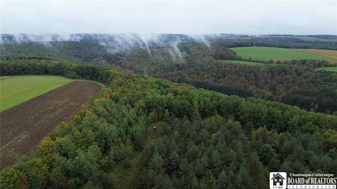 2852 Davis Road - Photo 1