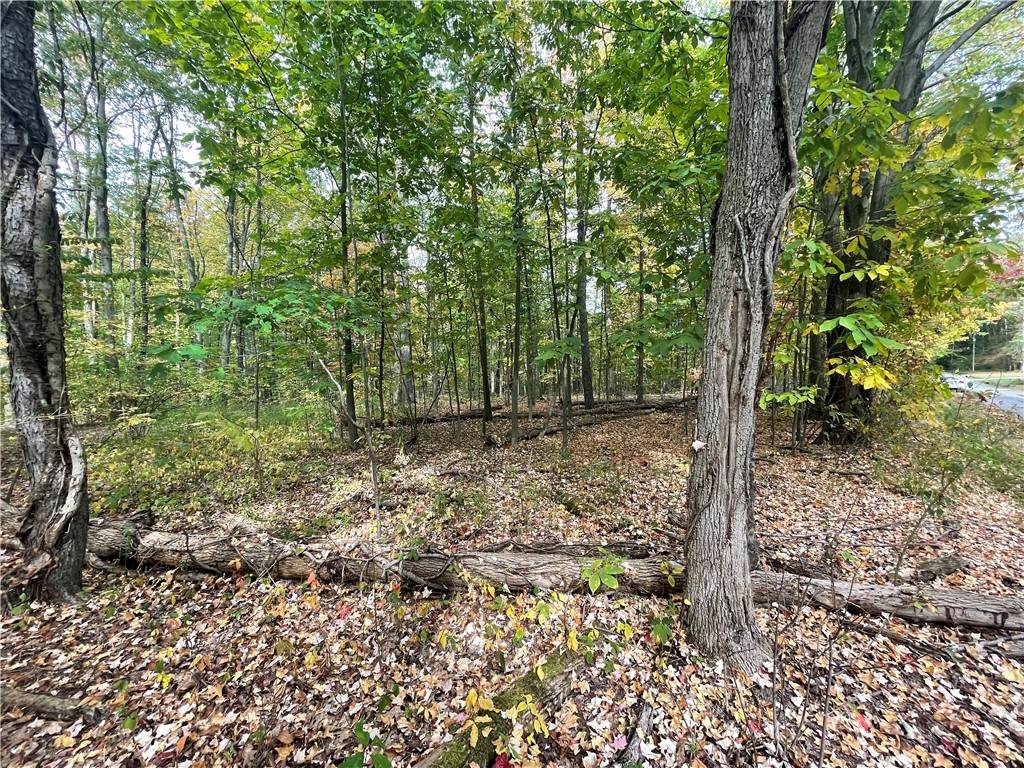 00 Penn Road - Photo 1