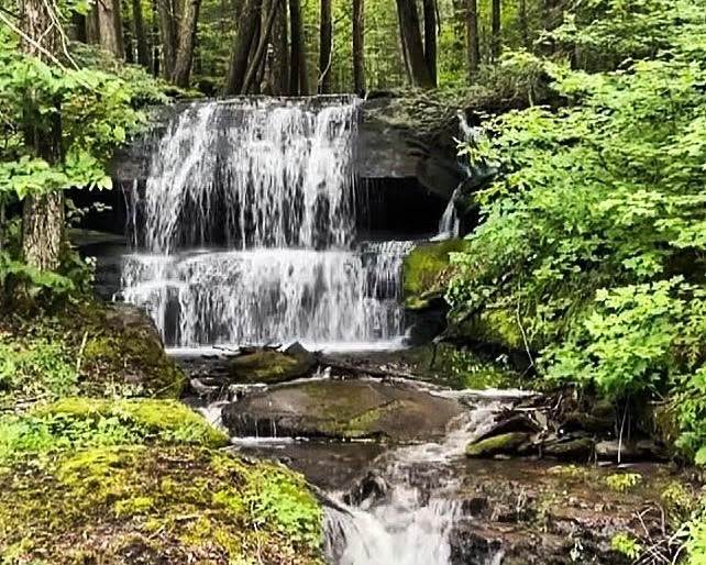 Bragg Hollow Road - Photo 1