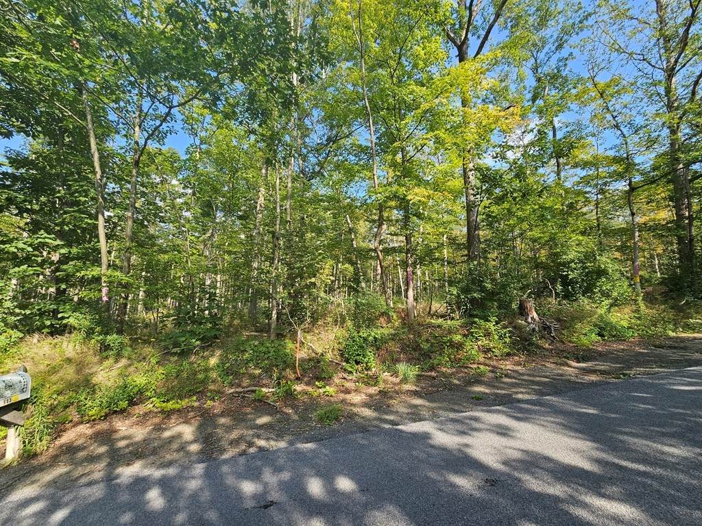 720 Steege Hill Road - Photo 1