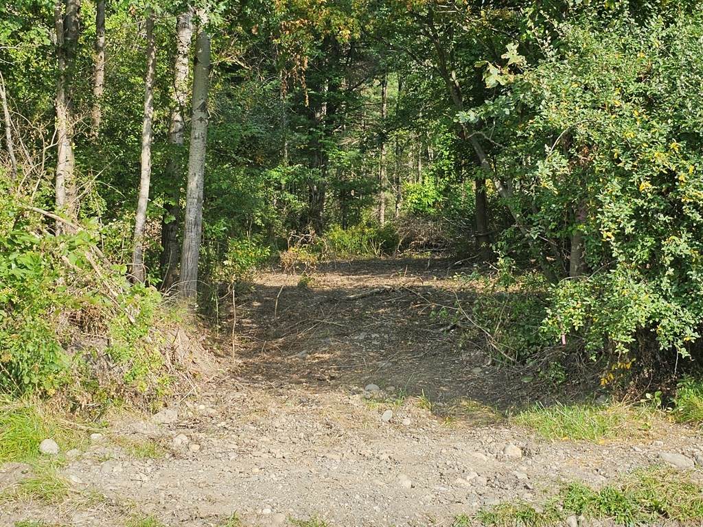 690 Steege Hill Road - Photo 1