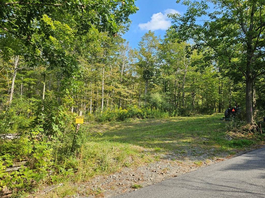 676 Steege Hill Road - Photo 1