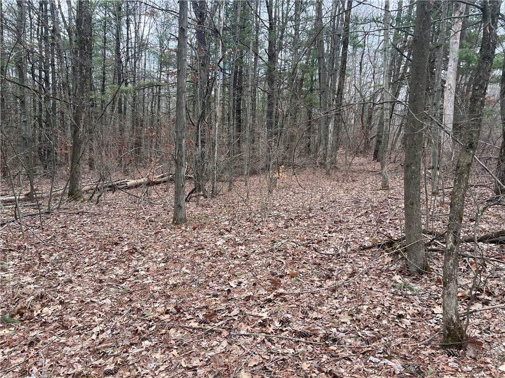Lot - 62.1 Welty Road - Photo 1
