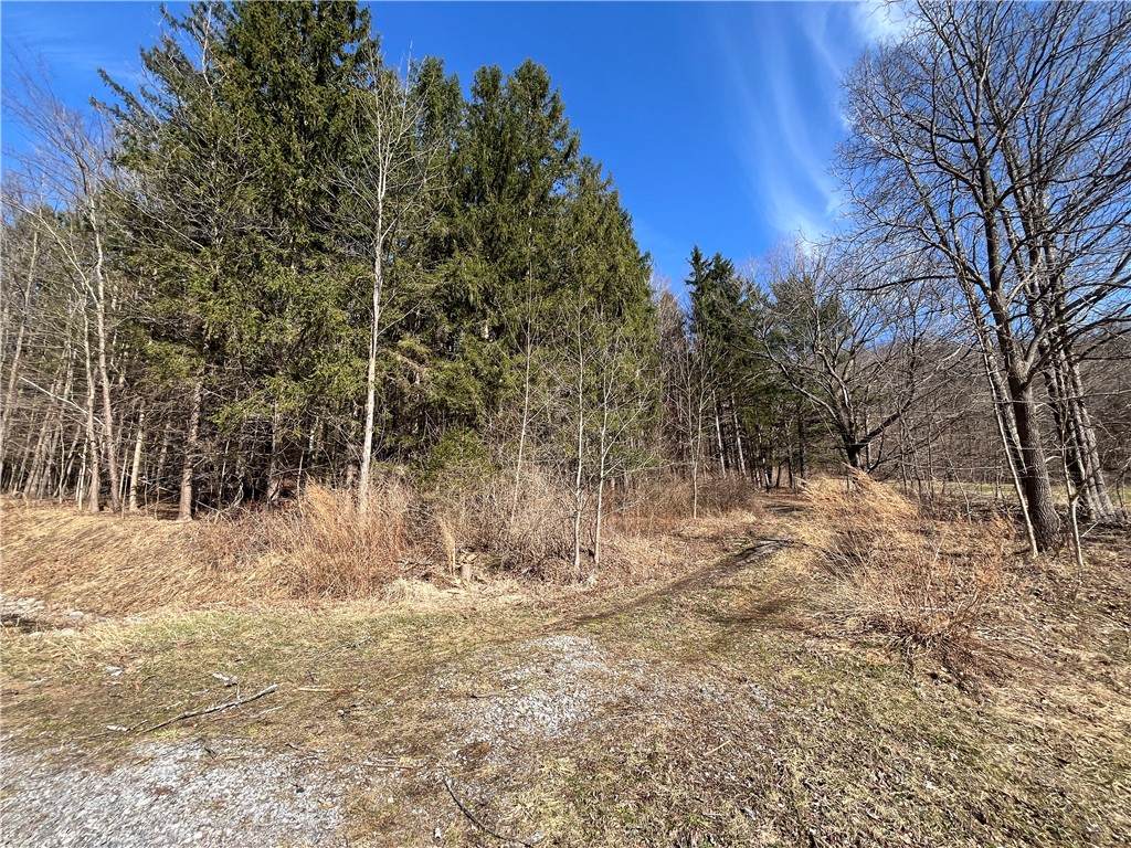 5437 County Road 33 - Photo 1