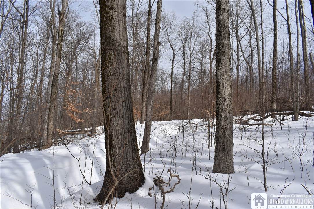 0 Morgan Hollow - Photo 1
