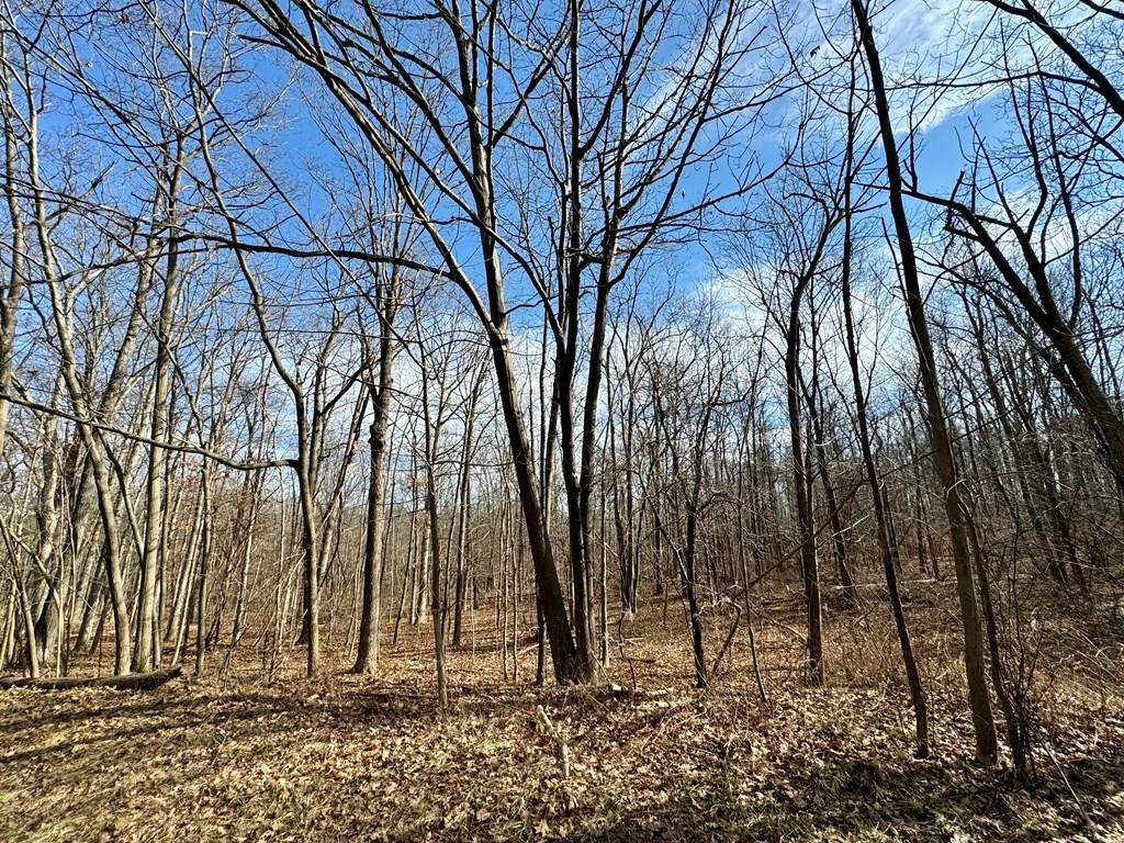 0 Belle Cornell/State Route 414 Drive - Photo 1