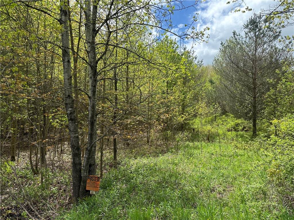 0 Pine Tree Road - Photo 1