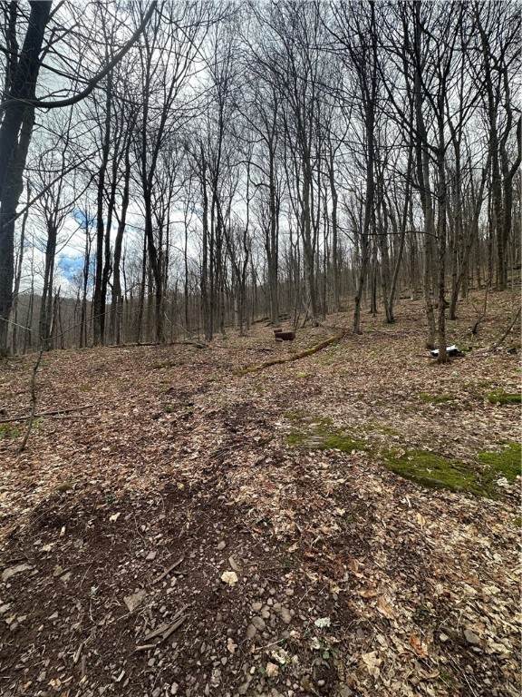Kims Way - Photo 1