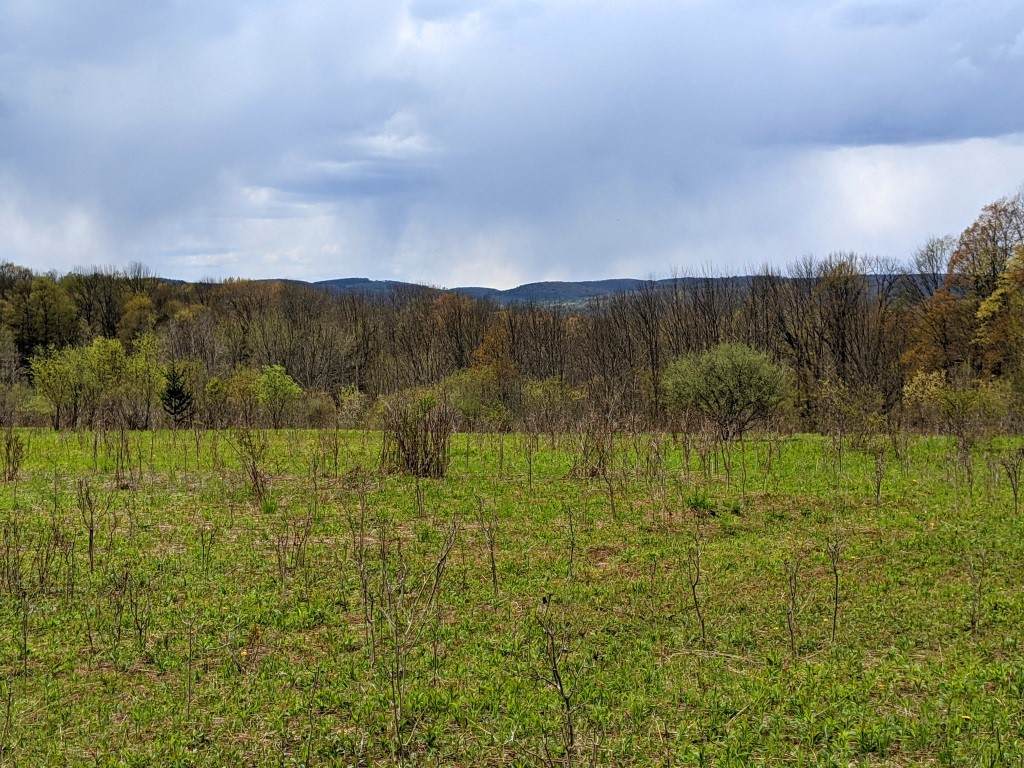 Lot #37.01 County Highway 4 - Photo 1