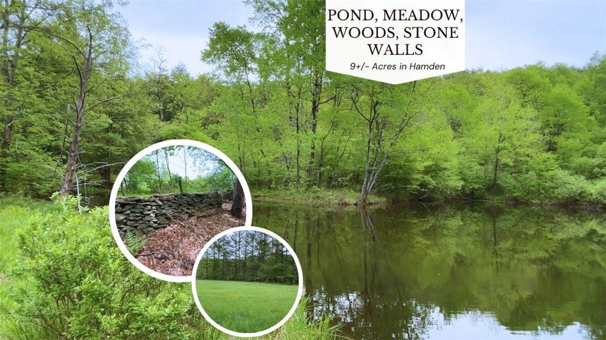 Lot 6.2 Launt Hollow Road - Photo 1