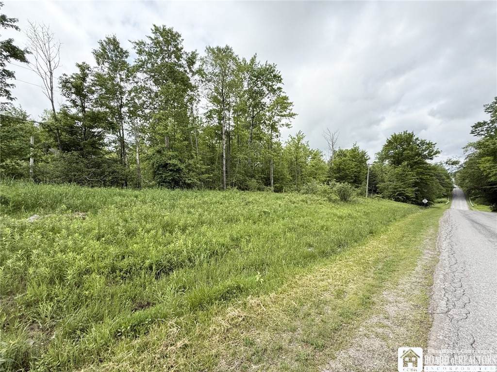 0 Luce Road - Photo 1