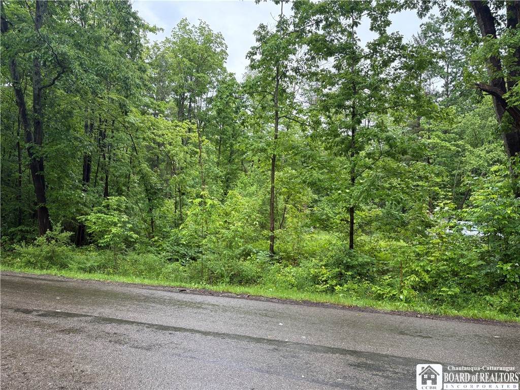 Scott Road - Photo 1