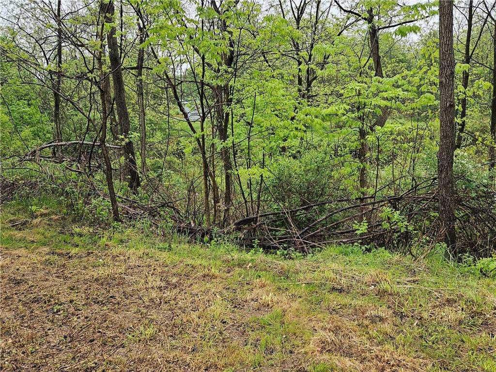 284 Berwick Turnpike - Photo 1