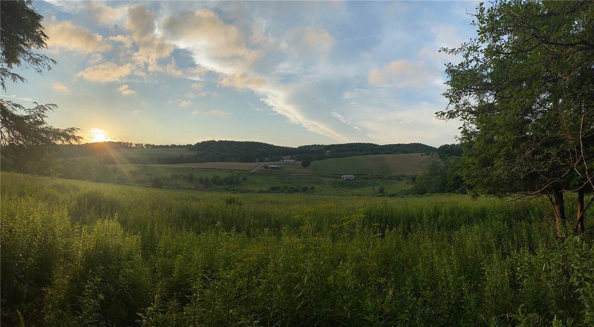 377 Bingham Center Road - Photo 1