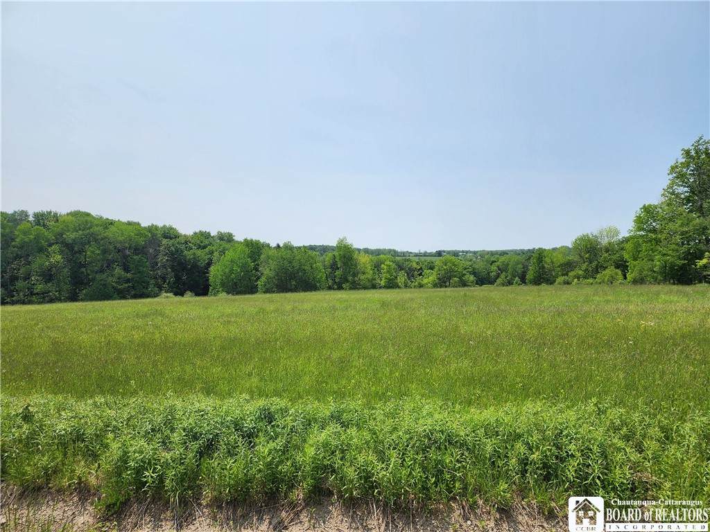 0 County Road 13 - Photo 1