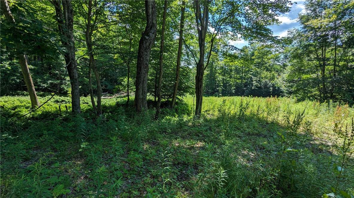 214 Larchwood Lane - Photo 1