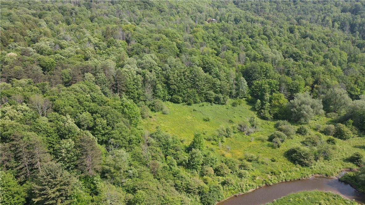 0 Creek Ridge Road - Photo 1