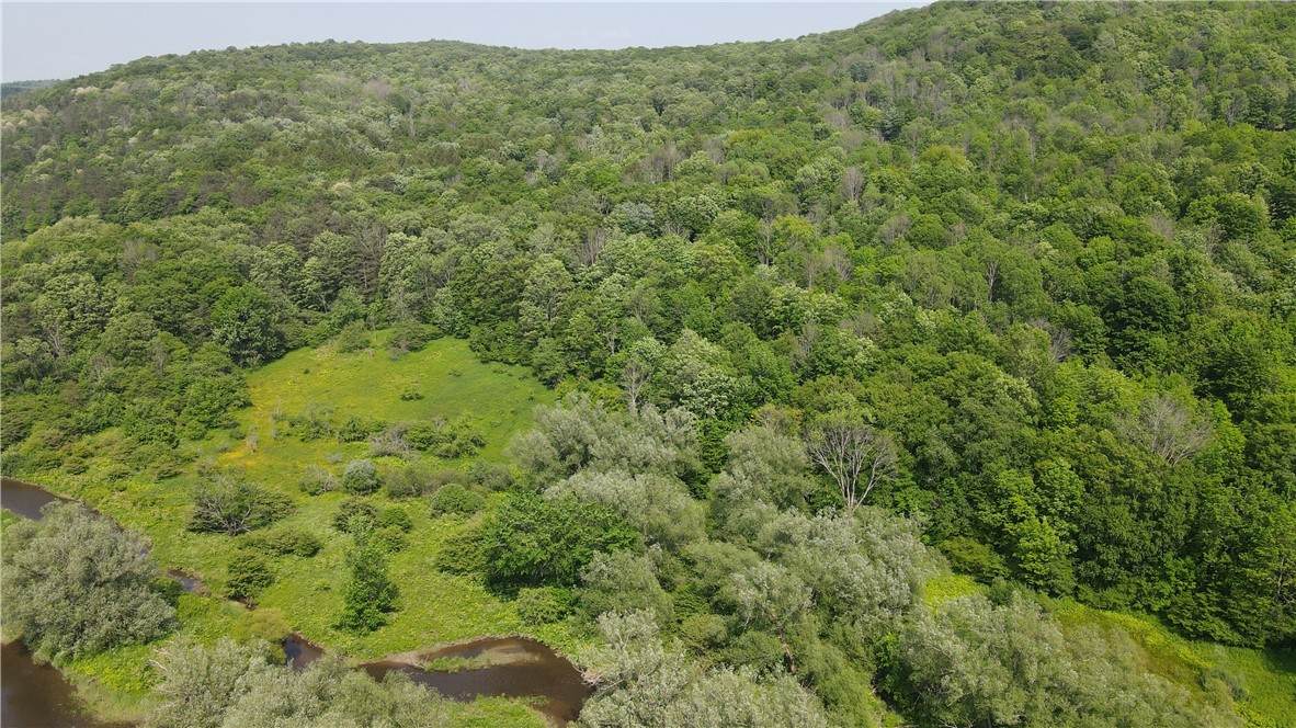 0 Creek Ridge Road - Photo 1