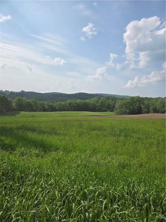 0 Backus Road - Photo 1