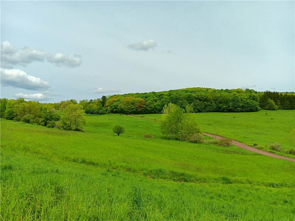 Lot 1 Kiff Brook Road - Photo 1