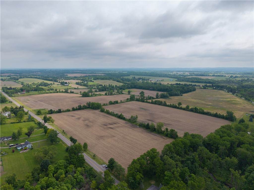 Livonia Center Road - Photo 1